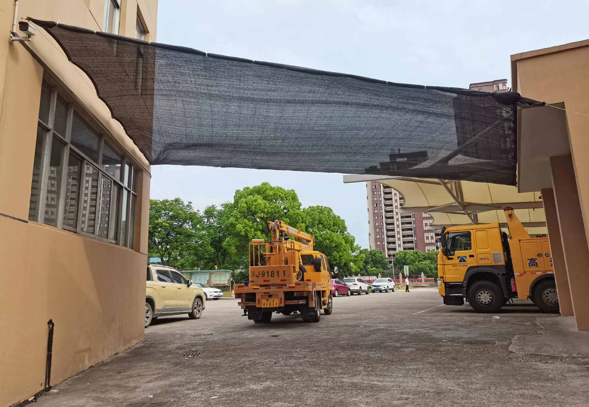 1686011337781927.jpg 圖為已安裝完成的這陽(yáng)網(wǎng)效果.jpg